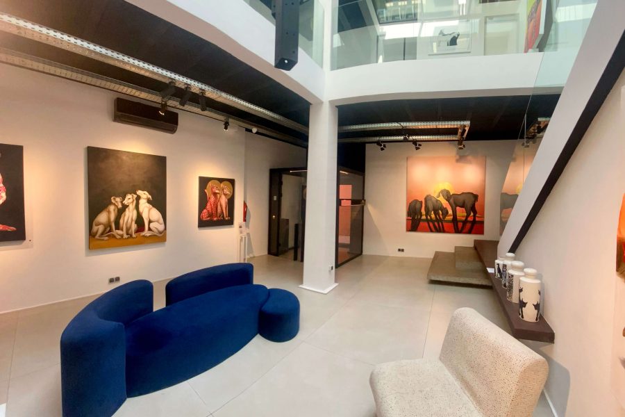 NoBorder - Sarah Edwards - Animalia Followup08